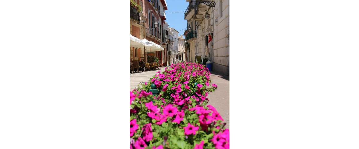 10608226_892064550822827_3141571773556091644_o