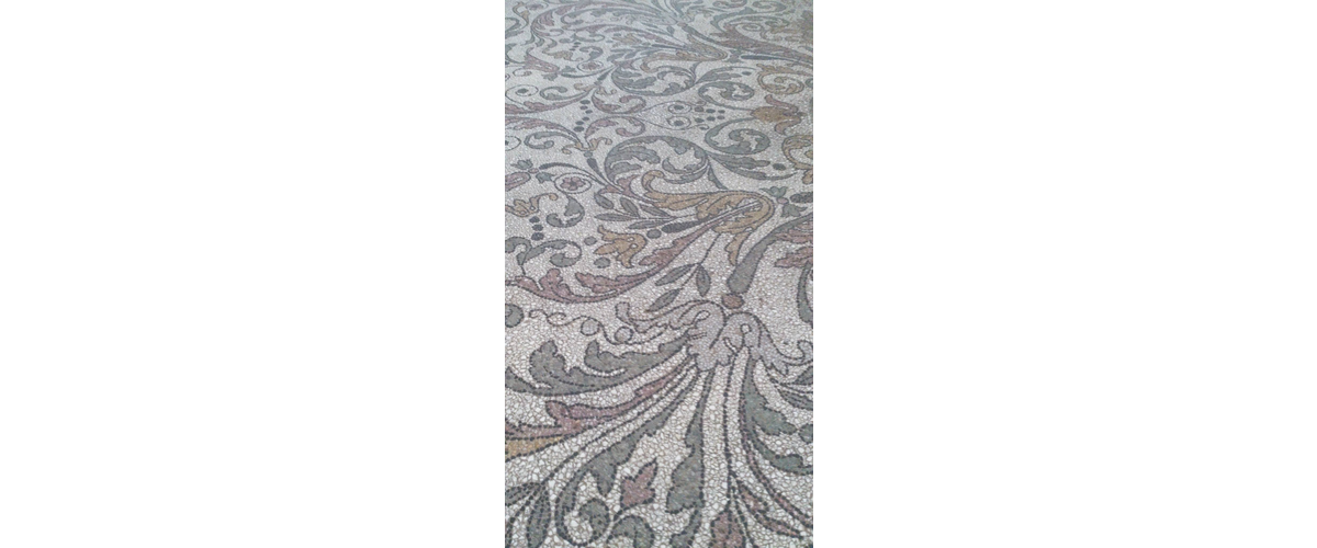 1781000_794143260614957_79184859_o